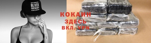 мяу мяу кристалл Няндома