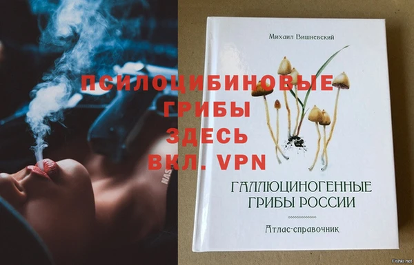 mdpv Нязепетровск