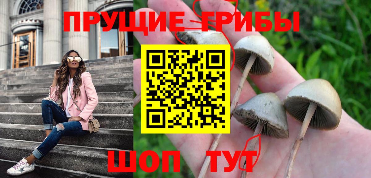 Коркино  Галлюциногенные грибы Magic Shrooms  Вход с VPN 